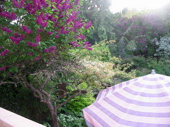 Cadboro Bay Bed & Breakfast วิกตอเรีย ภายนอก รูปภาพ